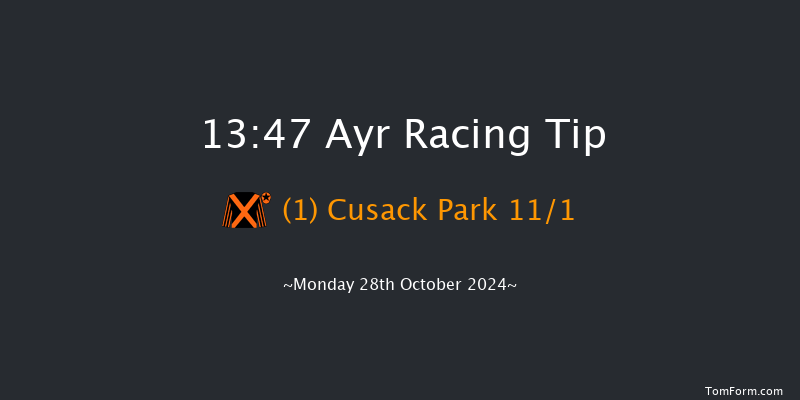 Ayr  13:47 Handicap Hurdle (Class 5) 24f Thu 10th Oct 2024