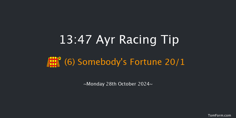 Ayr  13:47 Handicap Hurdle (Class 5) 24f Thu 10th Oct 2024
