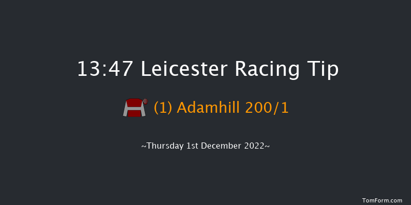 Leicester 13:47 Novices Hurdle (Class 3) 16f Sun 27th Nov 2022