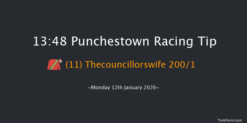 Punchestown 13-48 19f Sun 11th Jan 2026