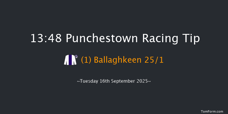 Punchestown 13-48 8f Sun 8th Jun 2025