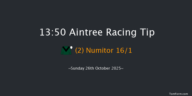 Aintree 13-50 (Class 2) 24f Fri 16th May 2025