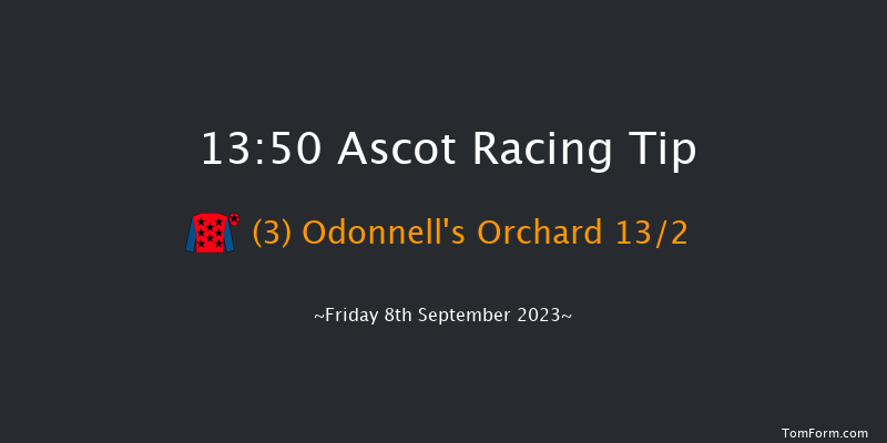 Ascot 13:50 Stakes (Class 3) 6f Sat 12th Aug 2023