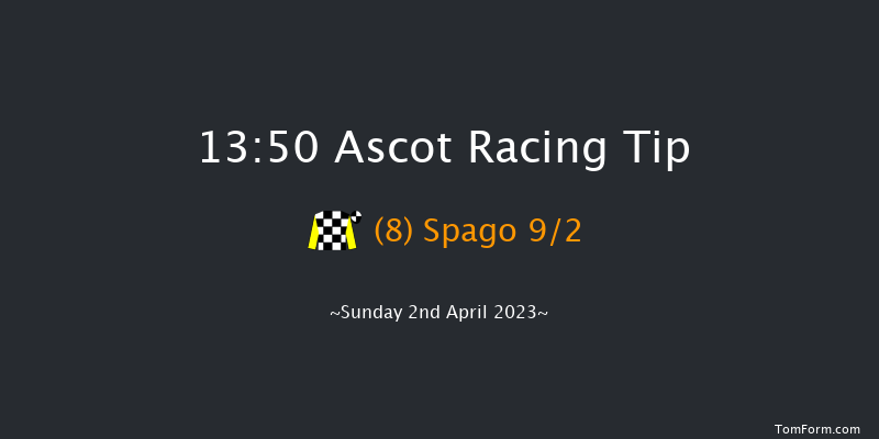 Ascot 13:50 Maiden Hurdle (Class 3) 19f Sat 18th Feb 2023