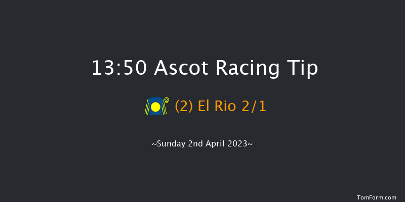 Ascot 13:50 Maiden Hurdle (Class 3) 19f Sat 18th Feb 2023