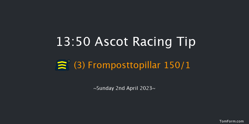 Ascot 13:50 Maiden Hurdle (Class 3) 19f Sat 18th Feb 2023