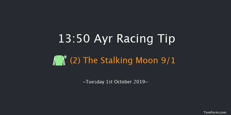 Ayr 13:50 Handicap (Class 6) 8f Sat 21st Sep 2019
