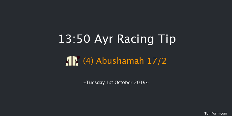 Ayr 13:50 Handicap (Class 6) 8f Sat 21st Sep 2019