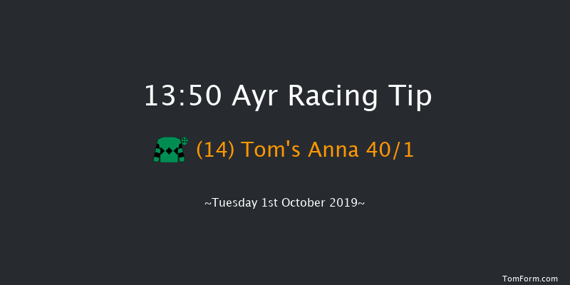 Ayr 13:50 Handicap (Class 6) 8f Sat 21st Sep 2019