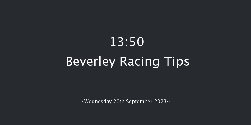 Beverley 13:50 Stakes (Class 6) 8f Sat 2nd Sep 2023