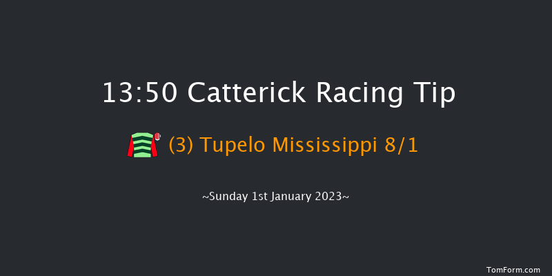 Catterick 13:50 Handicap Chase (Class 3) 25f Wed 28th Dec 2022