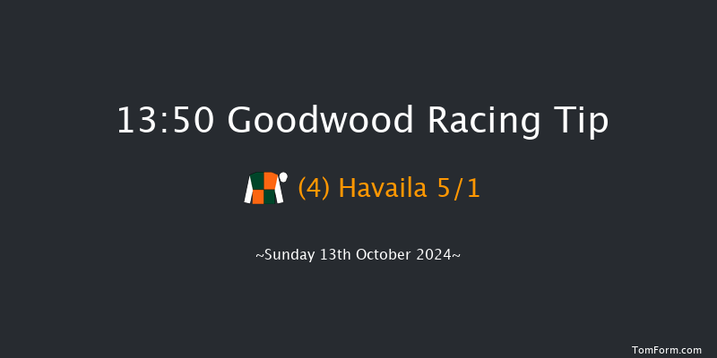 Goodwood  13:50 Handicap (Class 4) 16f Wed 25th Sep 2024