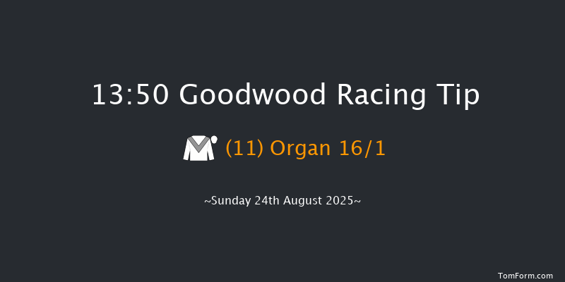 Goodwood 13-50 (Class 3) 8f Sat 23rd Aug 2025