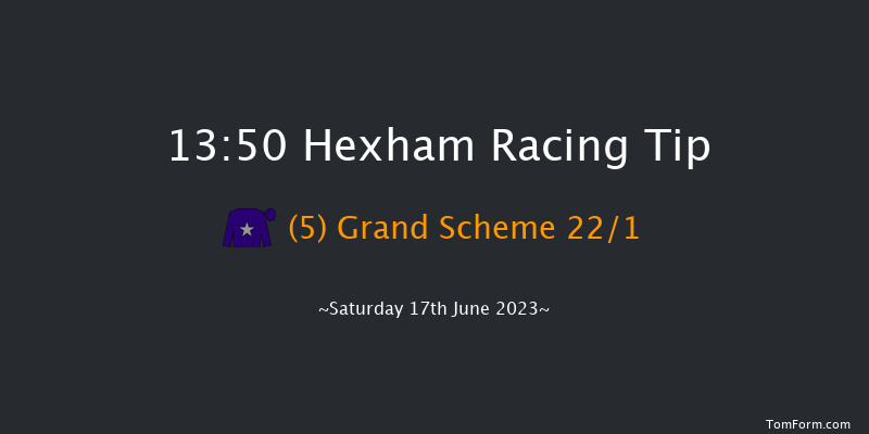 Hexham 13:50 Maiden Hurdle (Class 3) 16f Sat 3rd Jun 2023