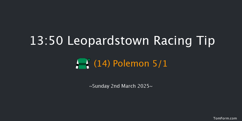 Leopardstown  13:50 Maiden Hurdle 16f Sun 2nd Feb 2025