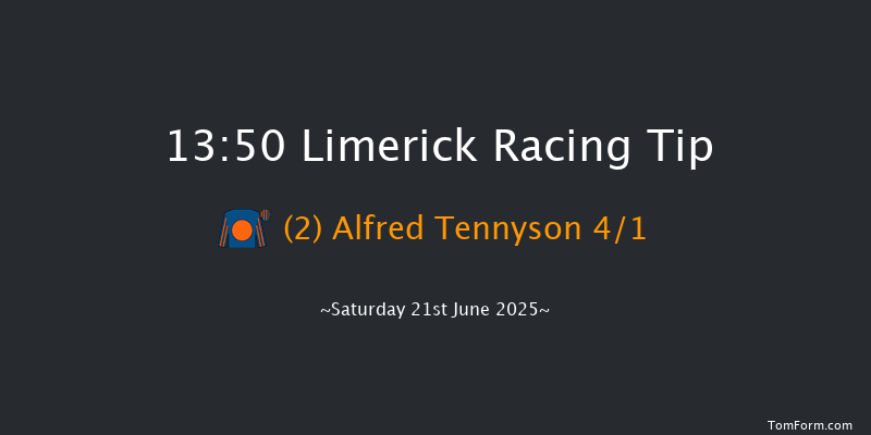 Limerick 13-50 7f Wed 11th Jun 2025