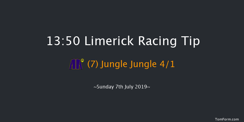 Limerick 13:50 Handicap 7f Thu 1st Jan 1970