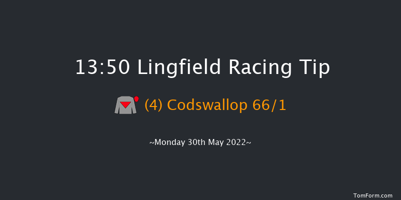 Lingfield 13:50 Handicap (Class 6) 10f Tue 24th May 2022
