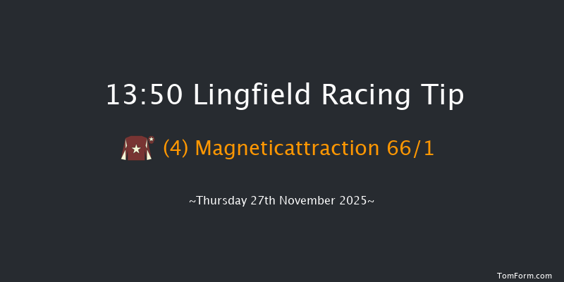 Lingfield 13-50 (Class 4) 19f Tue 25th Nov 2025