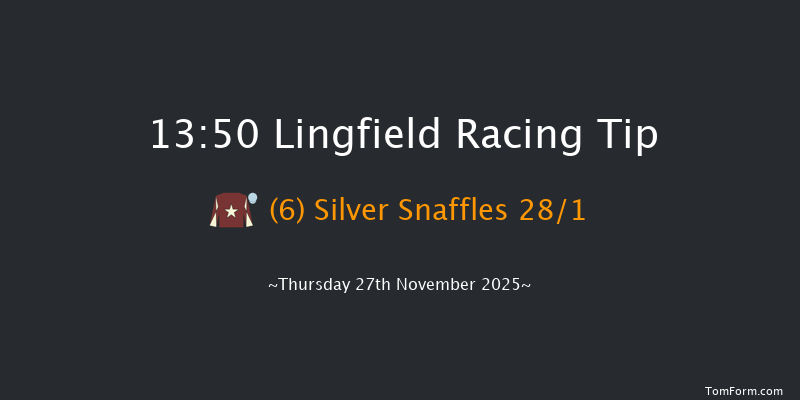 Lingfield 13-50 (Class 4) 19f Tue 25th Nov 2025