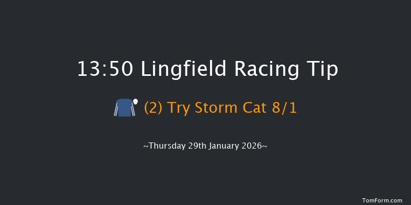 Lingfield 13-50 (Class 4) 8f Sat 24th Jan 2026