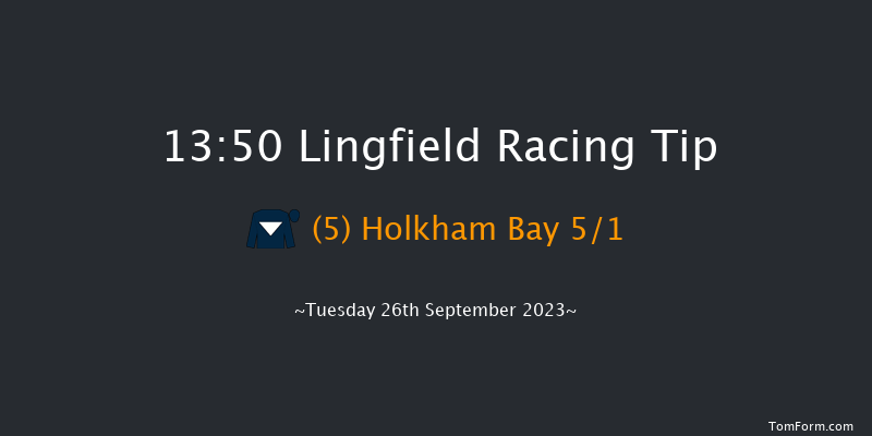 Lingfield 13:50 Handicap (Class 5) 6f Sat 16th Sep 2023