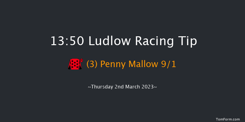 Ludlow 13:50 Handicap Chase (Class 4) 20f Wed 22nd Feb 2023