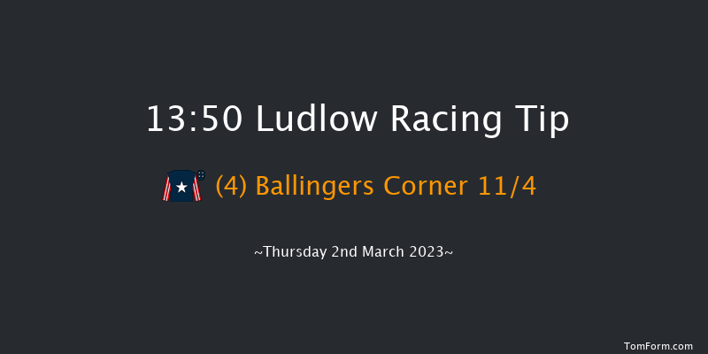 Ludlow 13:50 Handicap Chase (Class 4) 20f Wed 22nd Feb 2023