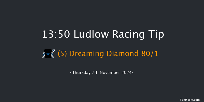 Ludlow  13:50 Handicap Chase (Class 5) 16f Thu 24th Oct 2024