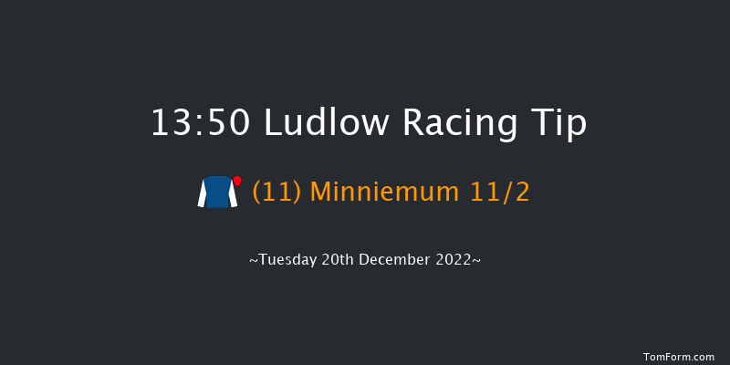 Ludlow 13:50 Maiden Hurdle (Class 4) 21f Wed 30th Nov 2022
