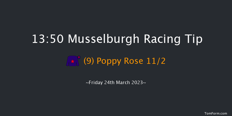 Musselburgh 13:50 Handicap Hurdle (Class 2) 20f Wed 1st Mar 2023