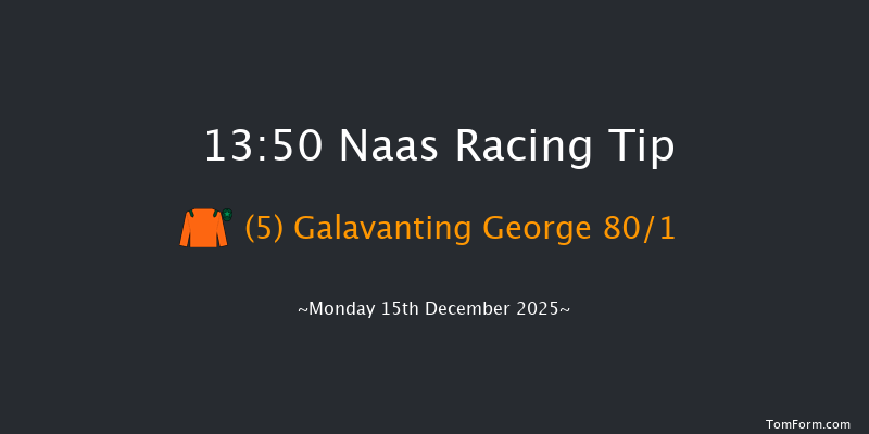 Naas 13-50 19f Sun 9th Nov 2025