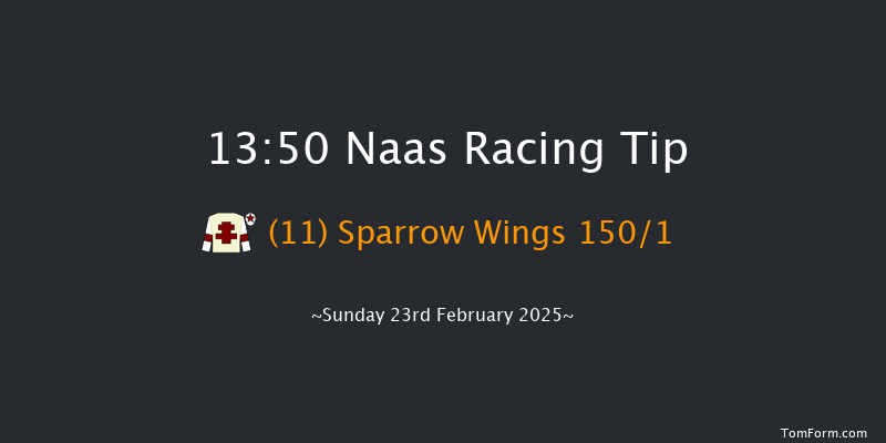 Naas  13:50 Maiden Hurdle 16f Sat 8th Feb 2025