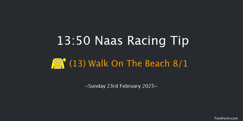 Naas  13:50 Maiden Hurdle 16f Sat 8th Feb 2025