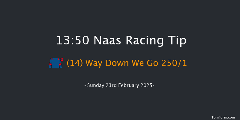 Naas  13:50 Maiden Hurdle 16f Sat 8th Feb 2025