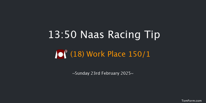 Naas  13:50 Maiden Hurdle 16f Sat 8th Feb 2025