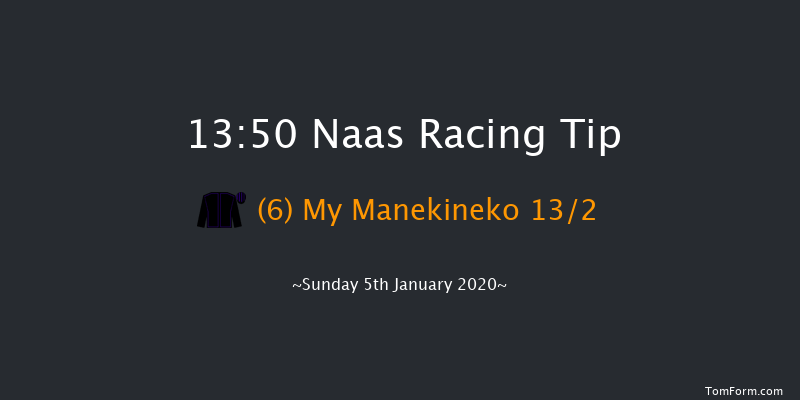 Naas 13:50 Handicap Chase 16f Mon 16th Dec 2019