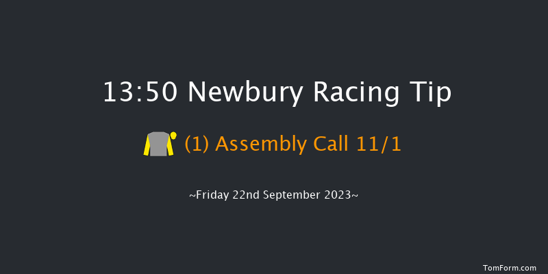 Newbury 13:50 Maiden (Class 4) 6f Tue 29th Aug 2023