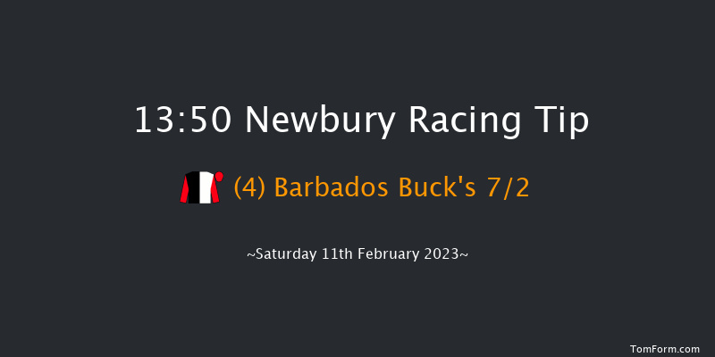 Newbury 13:50 Handicap Hurdle (Class 3) 24f Sat 31st Dec 2022
