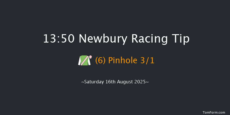 Newbury 13-50 (Class 1) 13f Fri 15th Aug 2025