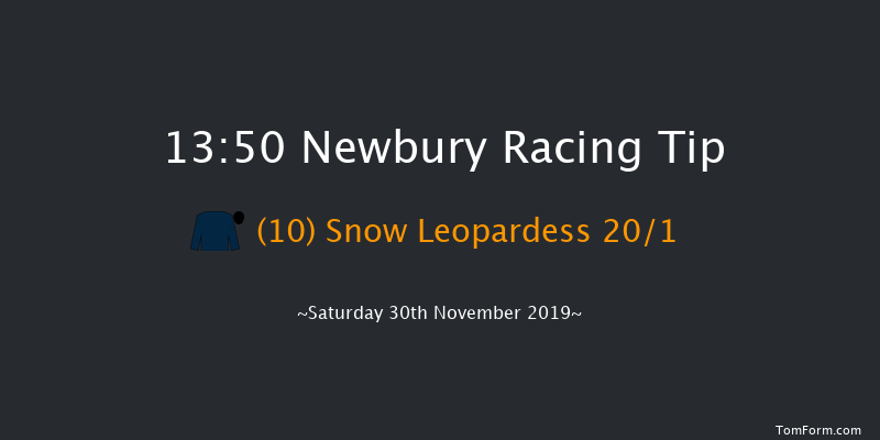 Newbury 13:50 Handicap Hurdle (Class 2) 20f Fri 29th Nov 2019