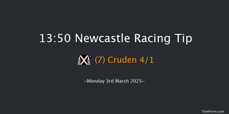 Newcastle  13:50 Novices Hurdle (Class 4) 20f Sat 1st Mar 2025
