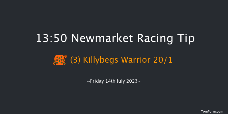 Newmarket 13:50 Handicap (Class 2) 10f Thu 13th Jul 2023