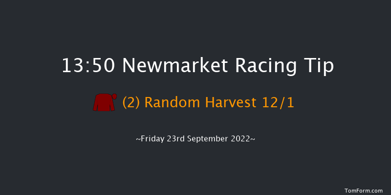 Newmarket 13:50 Listed (Class 1) 8f Thu 22nd Sep 2022