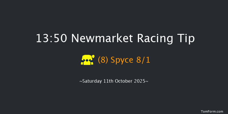 Newmarket 13-50 (Class 1) 10f Fri 10th Oct 2025