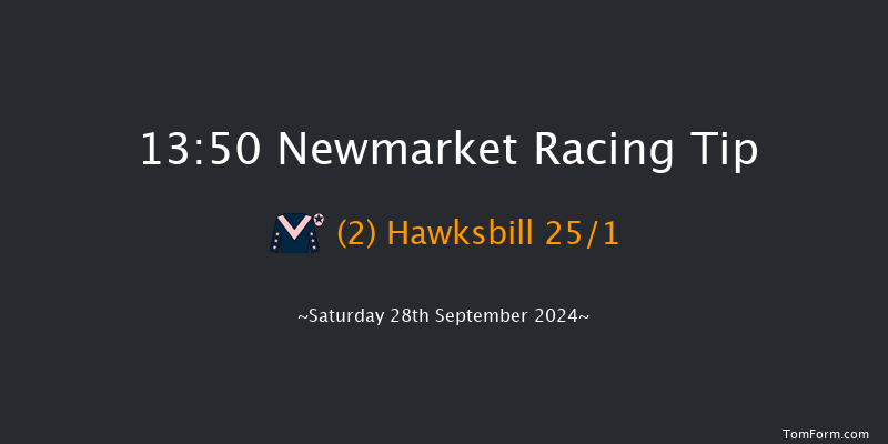 Newmarket  13:50 Group 2 (Class 1) 8f Fri 27th Sep 2024