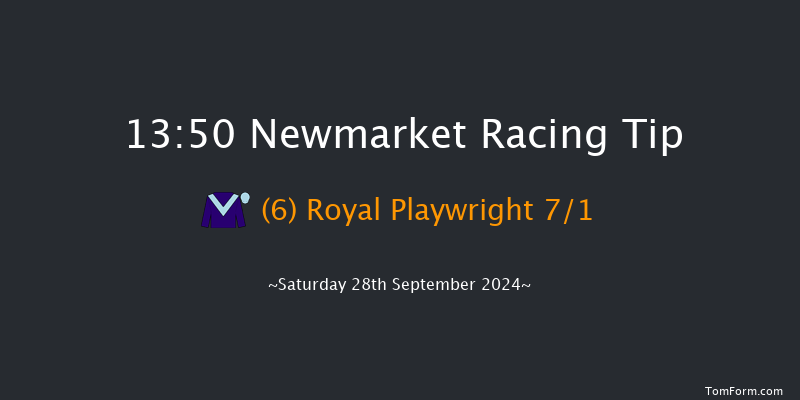 Newmarket  13:50 Group 2 (Class 1) 8f Fri 27th Sep 2024
