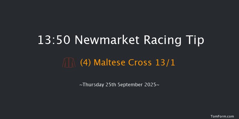 Newmarket 13-50 (Class 4) 8f Sat 20th Sep 2025