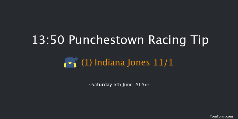 Punchestown 13-50 16f Wed 13th May 2026