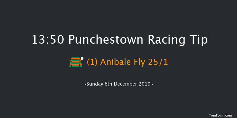 Punchestown 13:50 Conditions Chase 20f Tue 26th Nov 2019